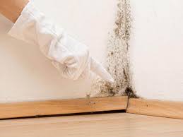 Best Mold Remediation for Healthcare Facilities  in Wake Forest, NC